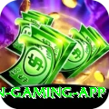 Dream17 Champion Gaming App